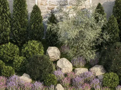 Garden with alpine slide bushes of thuja and lavender 1265 3D model