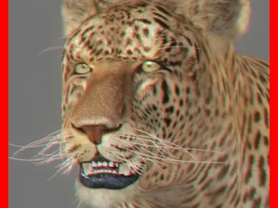 Leopard 3D model