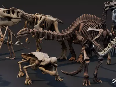 Dinosaur Fossil Pack VOL1 Low-poly 3D model