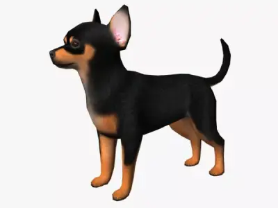 Chihuahua dog Low-poly 3D model