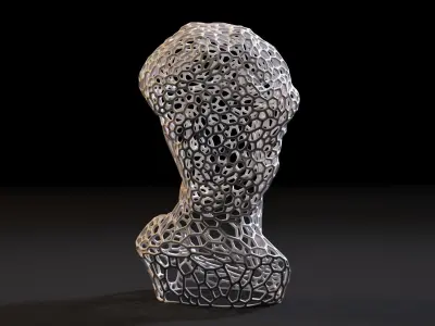 Statue Of David Michelangelo Head 3D print model