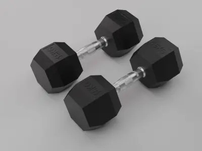 Dumbbell Weights Free 3D model