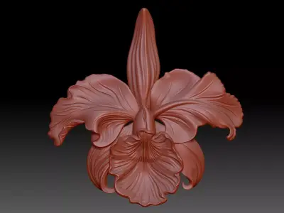 Orchid 3D print model