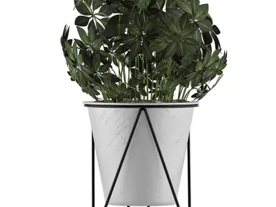 Plants Collection 92 3D model