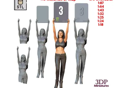 N2 Pit Girl with Placard 3D print model