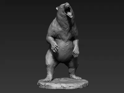 Zbrush Bear 3D model