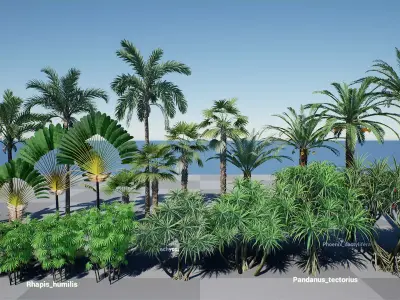 HQ Plants Volume 3 Palms for unreal engine 3D model set of 24 3D model