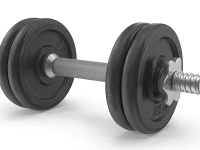 Old Dumbbell Low-poly 3D model