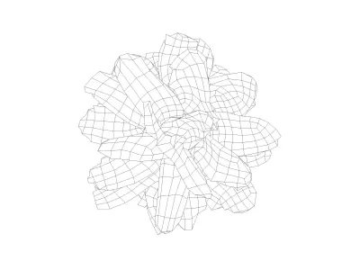 Photorealistic 3D scan of pine conifer cone Low-poly 3D model