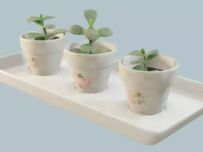 Plant Pot Set Low-poly 3D model