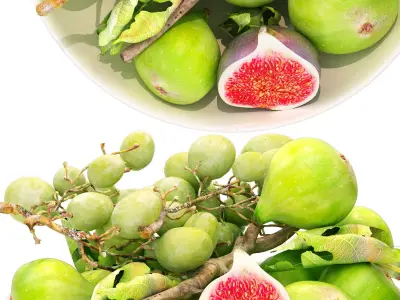 bowl of green figs and grapes fruit 3D model