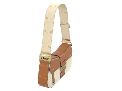 Dior Street Chic Bag Brown Beige Fabric 3D model