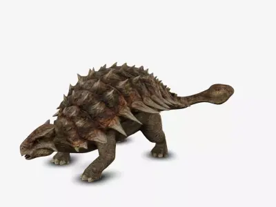 Ankylosaur 3D model