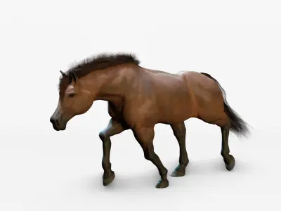 Horse Animated Low-poly 3D model