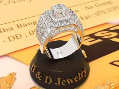 MenRing 3D print model