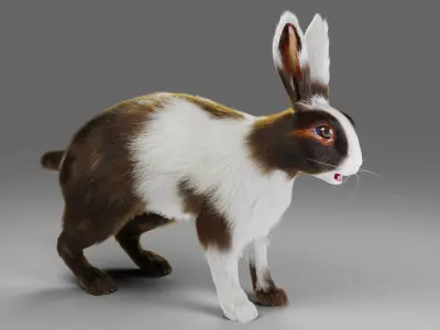 Fur Rabbit Gray V04 NO Rigged Low-poly 3D model