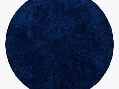 Morel Round Rug 3D model