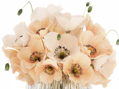 Beautiful Bouquet White Beige Wild Flowers Poppy 570 3D model