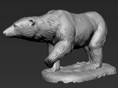 Polar Bear Zbrush Sculpt 3D model