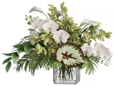 Flower In Vase Collection 10