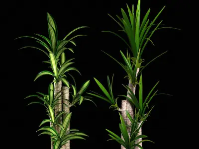 Plant 1 two plants in wooden boxes 3D model