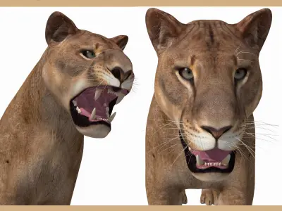 Unique Feline Pack - 3d lion model 3D model