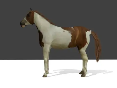 Detailed Paint Horse - Pinto 3D model