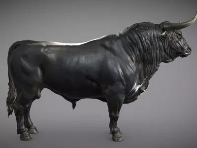 Bull - TPose - High Poly  3D model