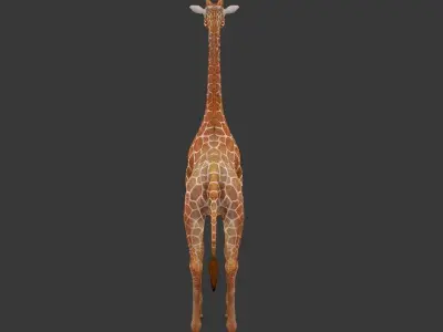giraffe Low-poly 3D model