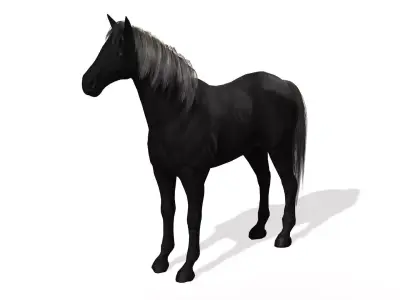 Black Dark Horse Low-poly 3D model