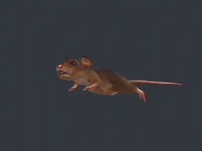 Animated mouse Low-poly 3D model