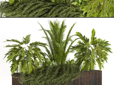 Collaction Indoor plant vol 41 3D model