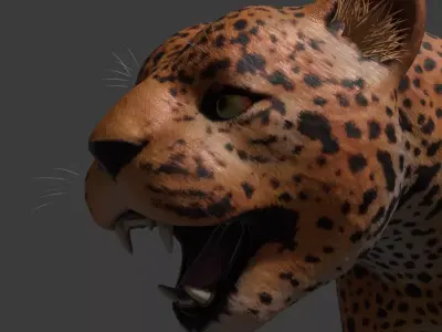 Leopard Rigged Optimized and Game Ready High Quality Mesh Low-poly 3D model