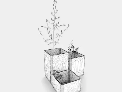 Coloured vases with plants 3D model