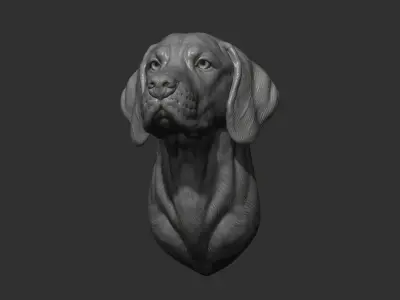 Hungarian Vizsla dog 3D print model