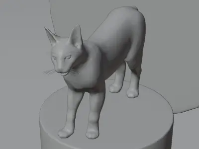 Caracal Cat with rigging and animation 3D model
