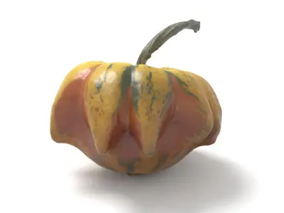 Decorative Gourd Pumpkin Squash Yellow Pepper 3D Scan 3D model