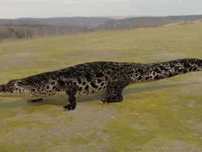 Nile Crocodile Low-poly 3D model