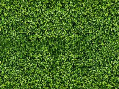 Valley Scene Low-poly 3D model