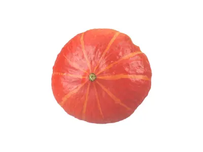 Photorealistic Hokkaido Pumpkin 3D Scan 1 3D model