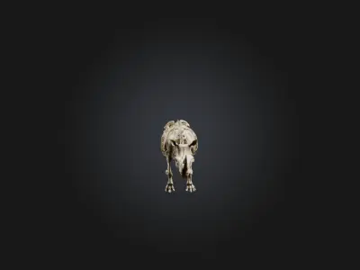 Realistic Rhinoceros Skeleton Model Low-poly 3D model
