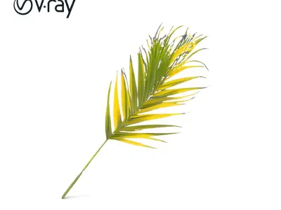 Palm Leaf D Model Pack Low-poly 3D model