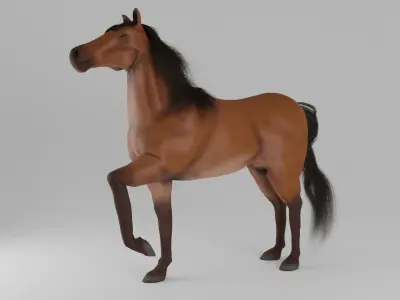 Horse 3D model