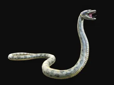 Low Poly Anaconda 3D Animal - Ready for Games 19 Animations Low-poly 3D model