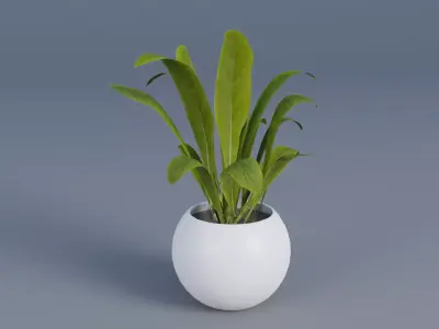 Plant pot Low-poly 3D model purchase