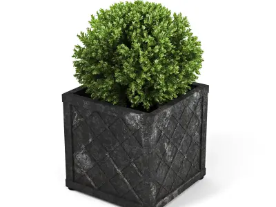 Bushes planter box 3D model