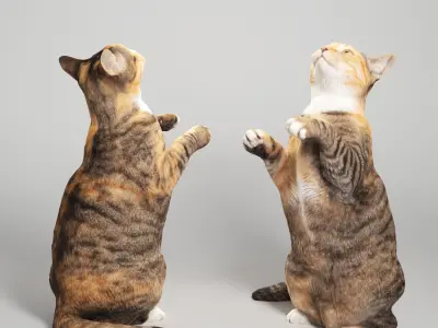 Calico cat 10 Low-poly 3D model