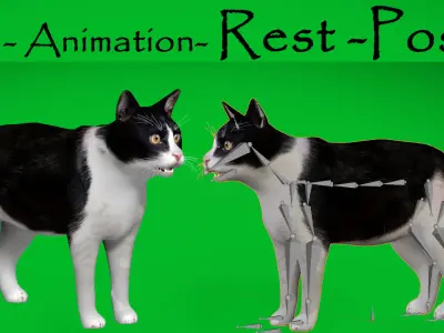 Domestic House Cat Low-poly 3D model