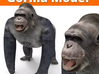 Gorilla  3D Models game ready low poly Low-poly 3D model