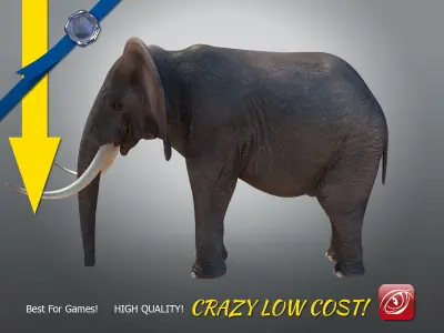 Elephant maleA T-pose Low-poly 3D model